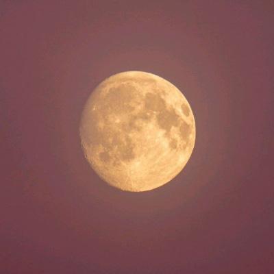 日本登月探测器确认探测到月球橄榄石
